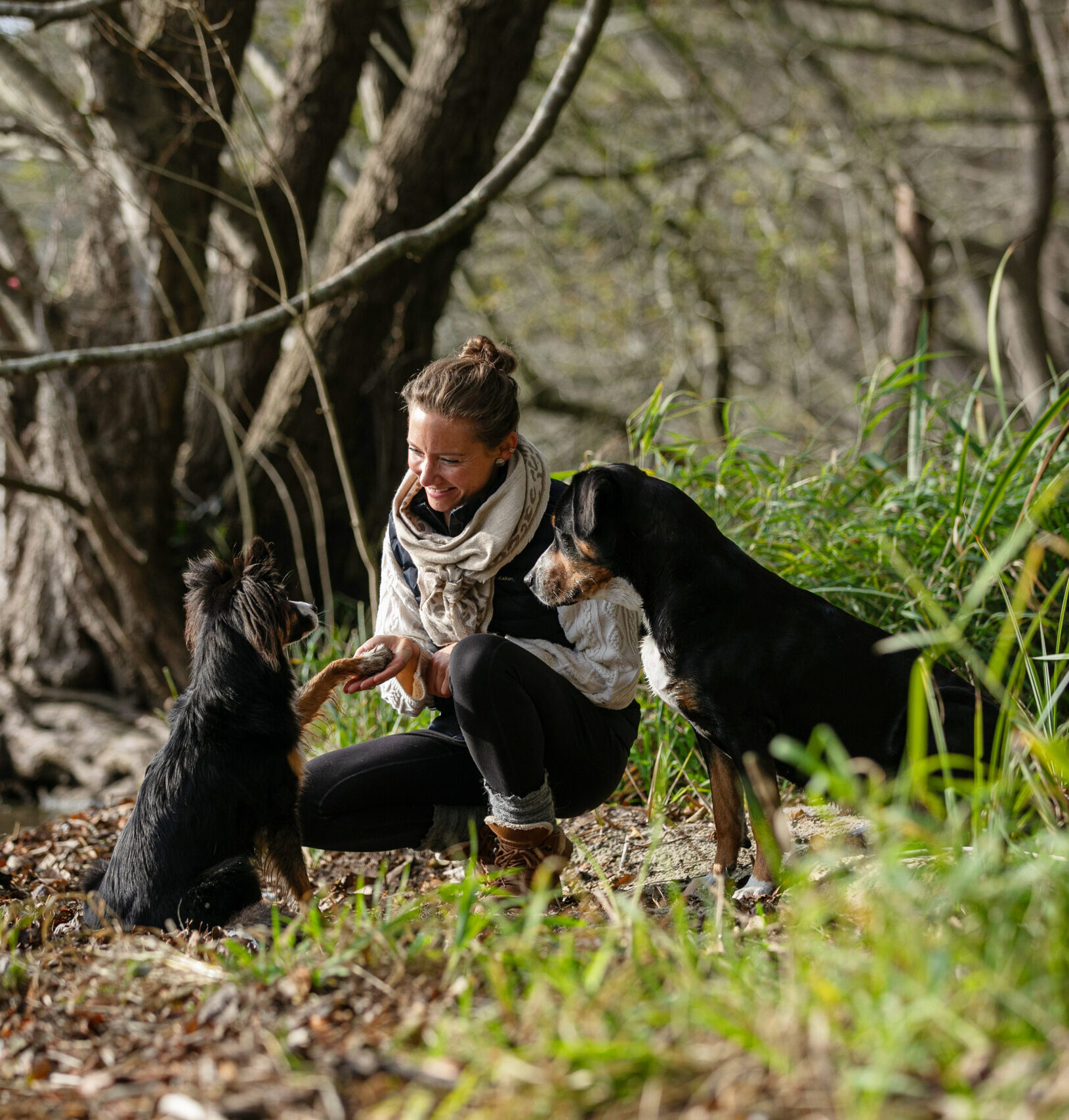 Ostseekoeter Hundtraining Julia Hahn