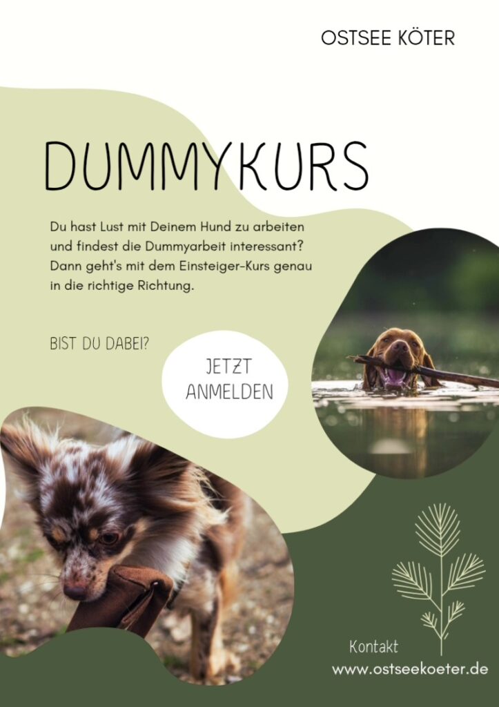Dummy-Kurs Ostsee-Köter